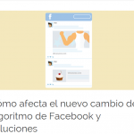 ARTICULO VILMA